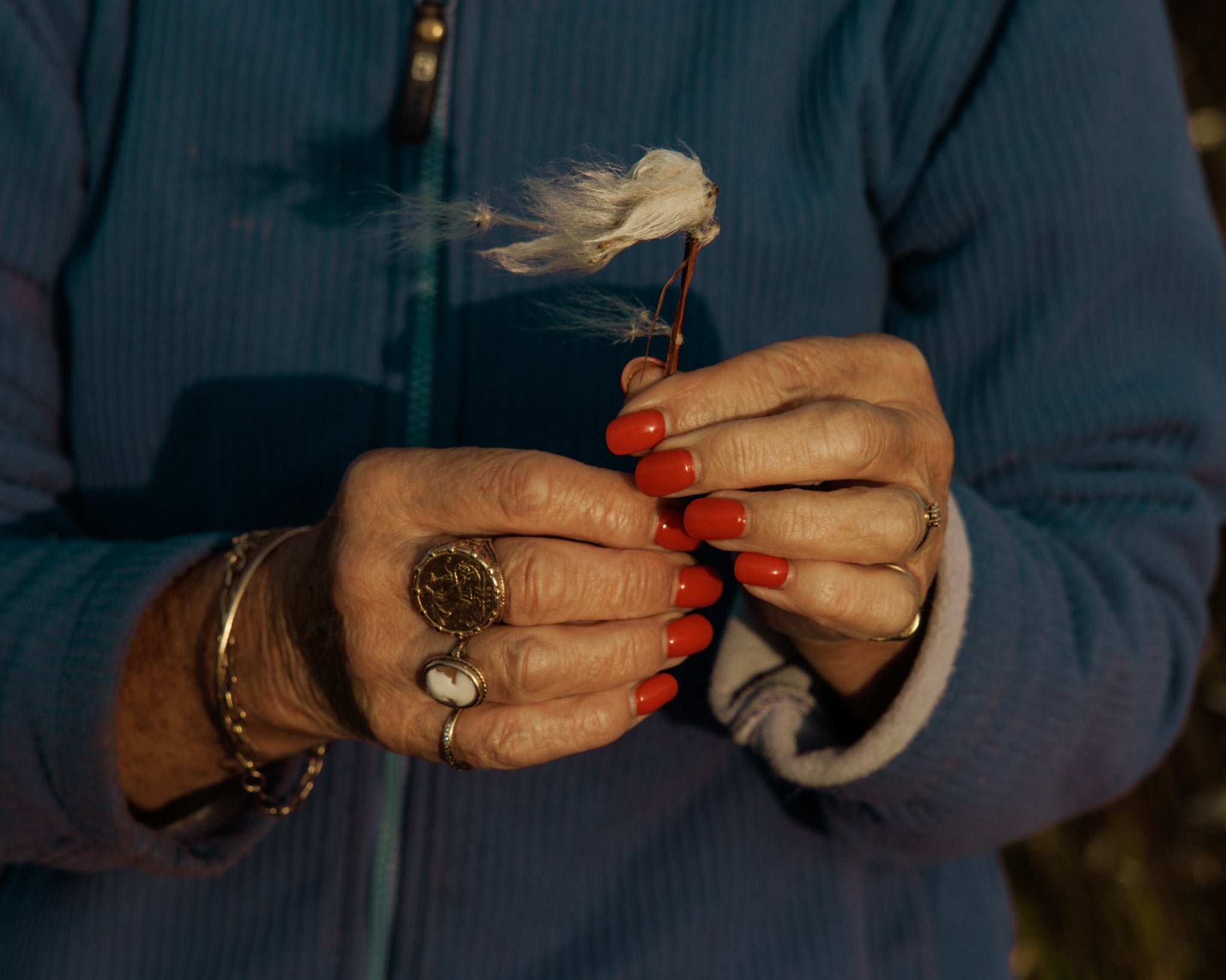 Notes on BOG – 15 Years of the Garden