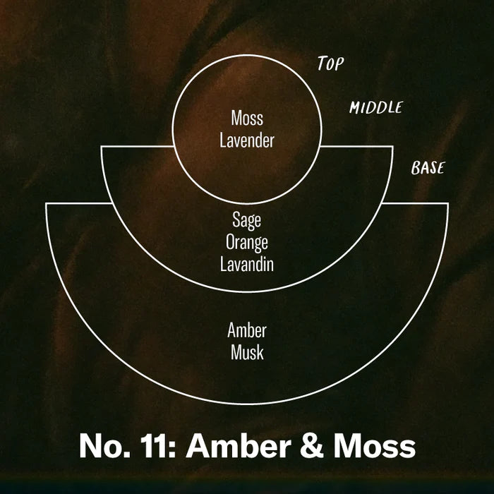 P.F Candle: Amber & Moss