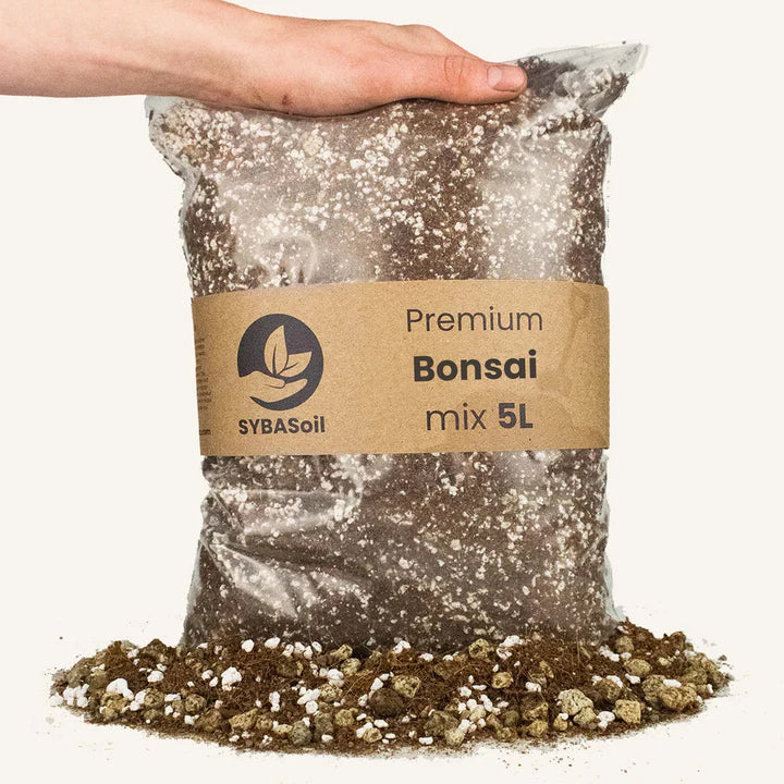 Bonsai Mix