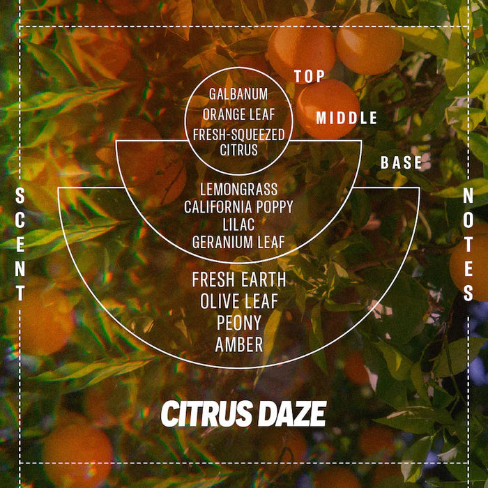 Citrus Daze– 204g