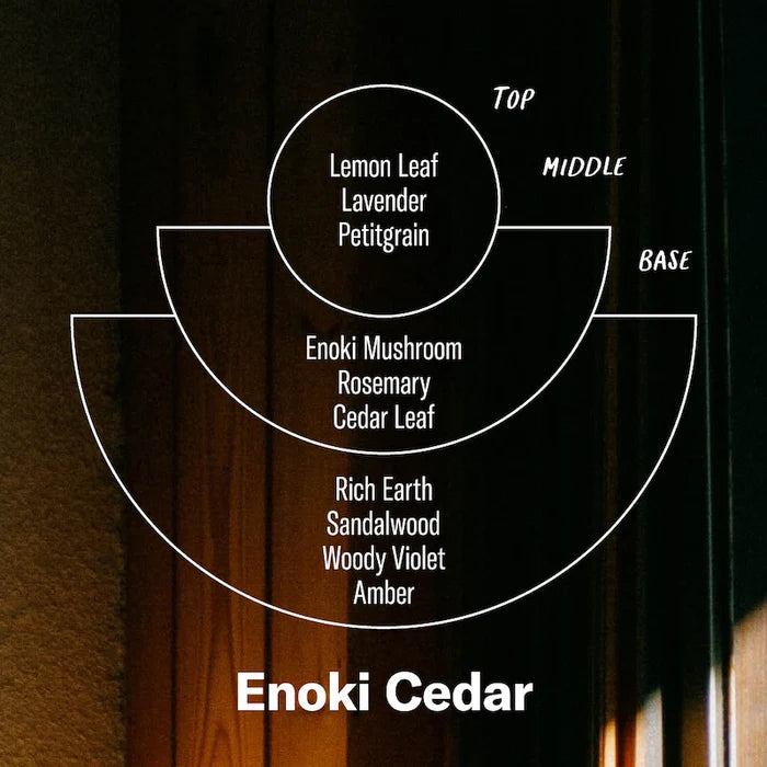 P.F Enoki Cedar