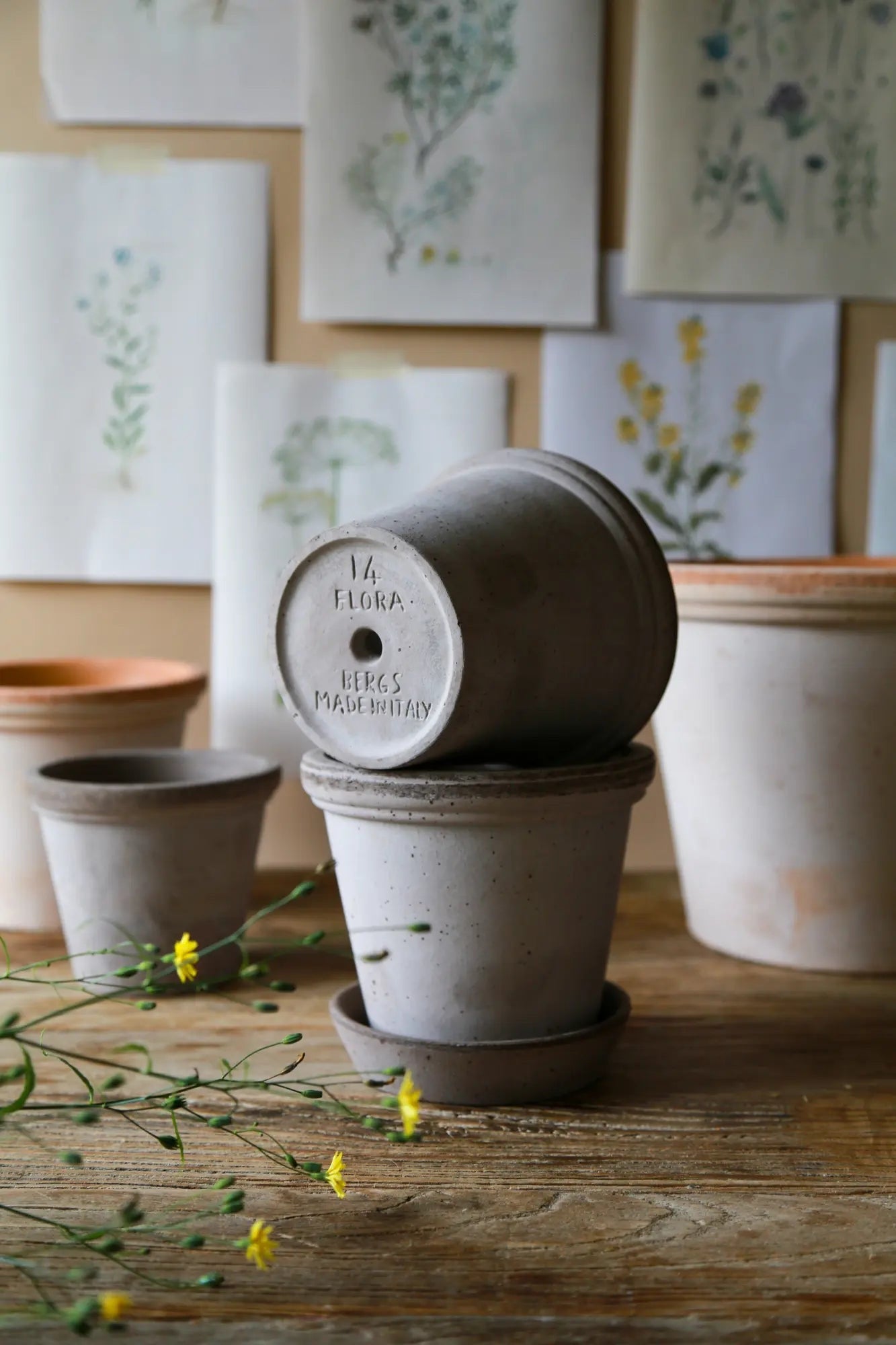 Flora Raw Pot - Bergs Potter