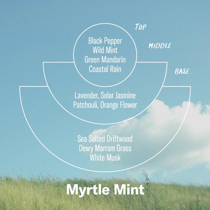 P. F Myrtle Mint