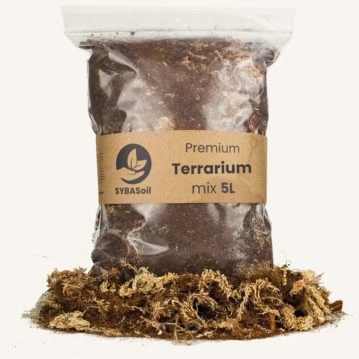 Terrarium Mix