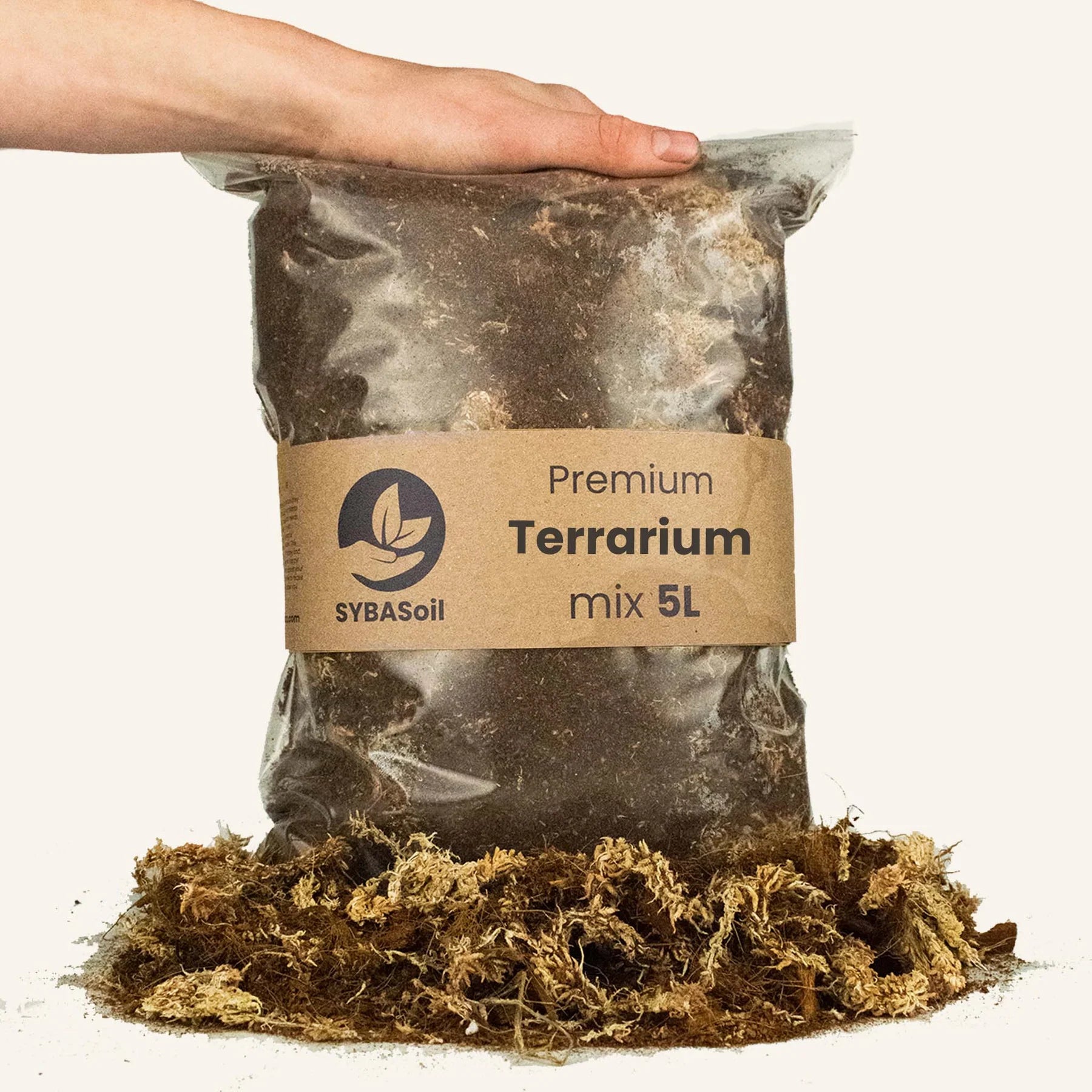 Terrarium Mix
