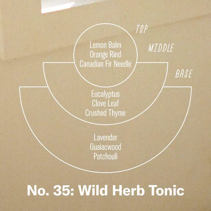 P.F Candle: Wild Herb Tonic