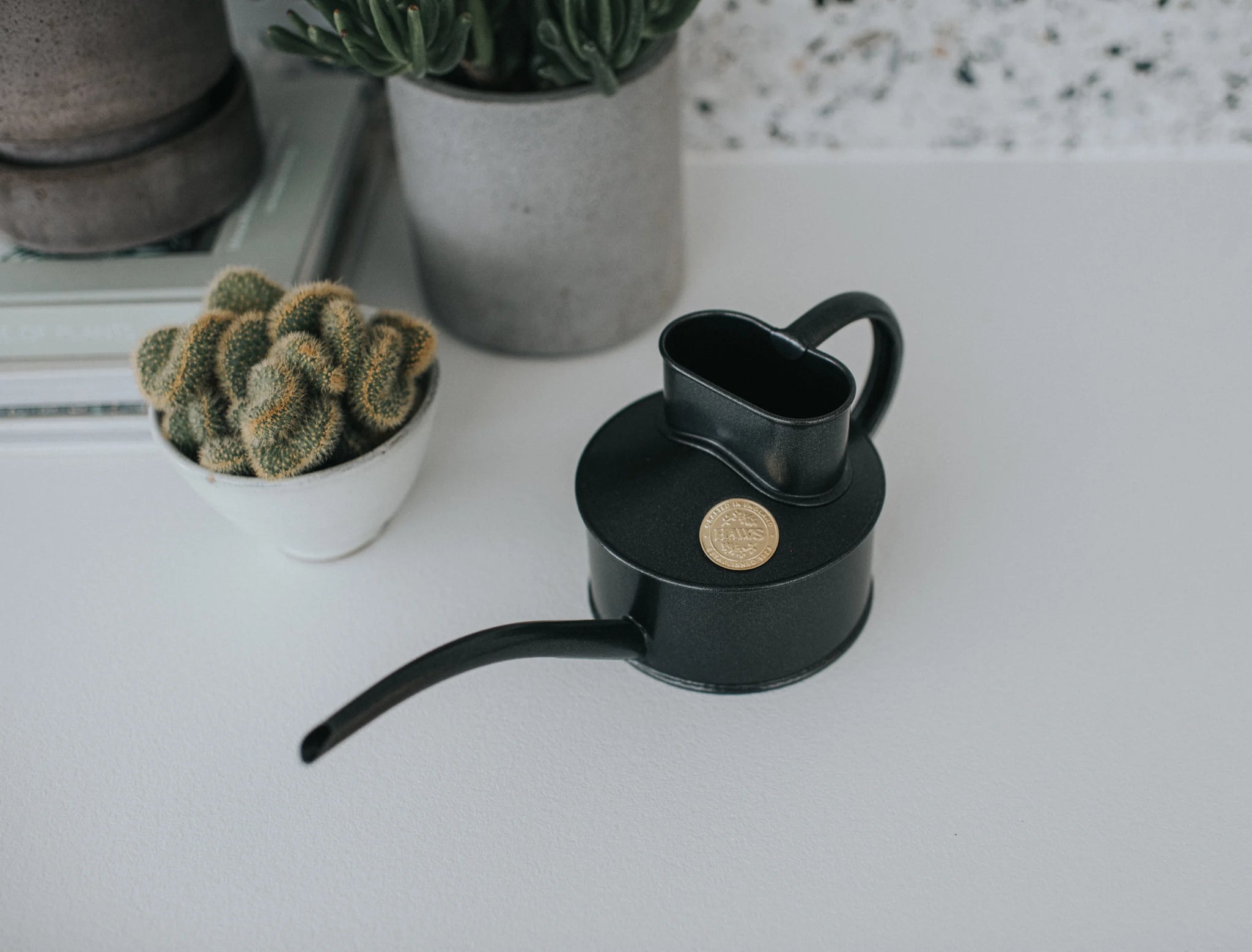 Watering can from Dublin's The Garden Florist