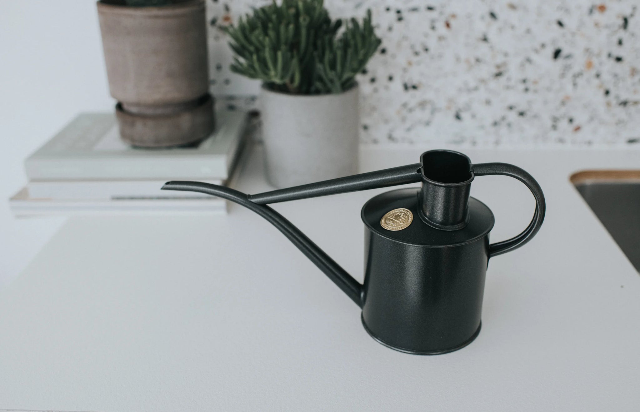 Watering can from Dublin's The Garden Florist