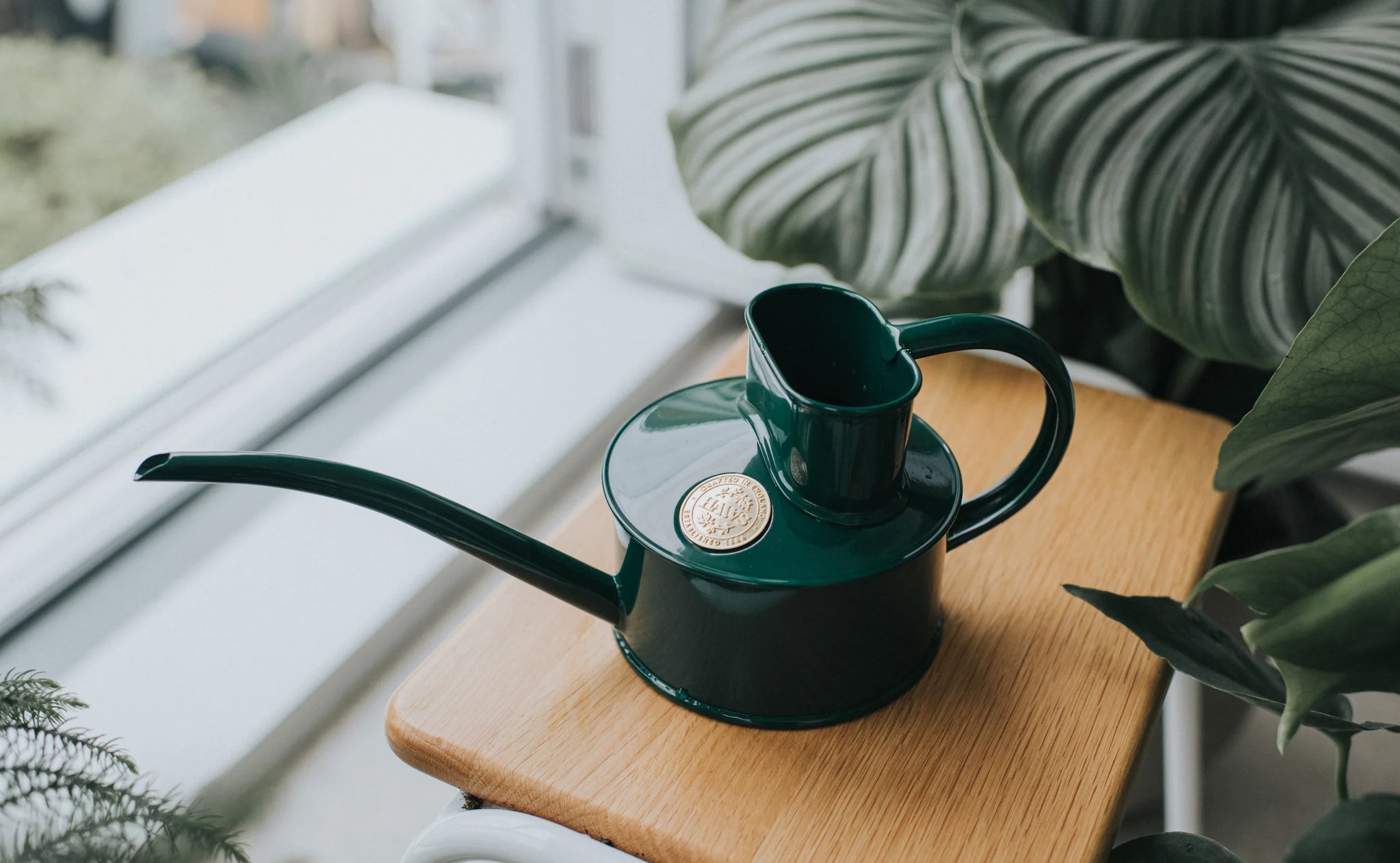 Watering can from Dublin's The Garden Florist