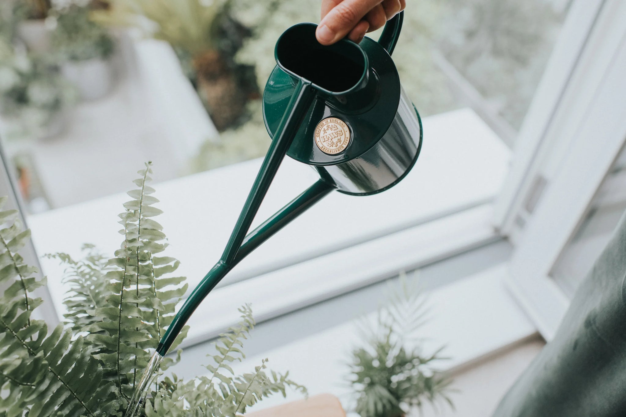 Watering can from Dublin's The Garden Florist