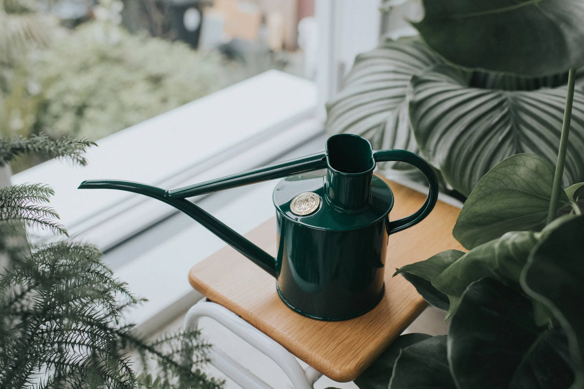 Watering can from Dublin's The Garden Florist