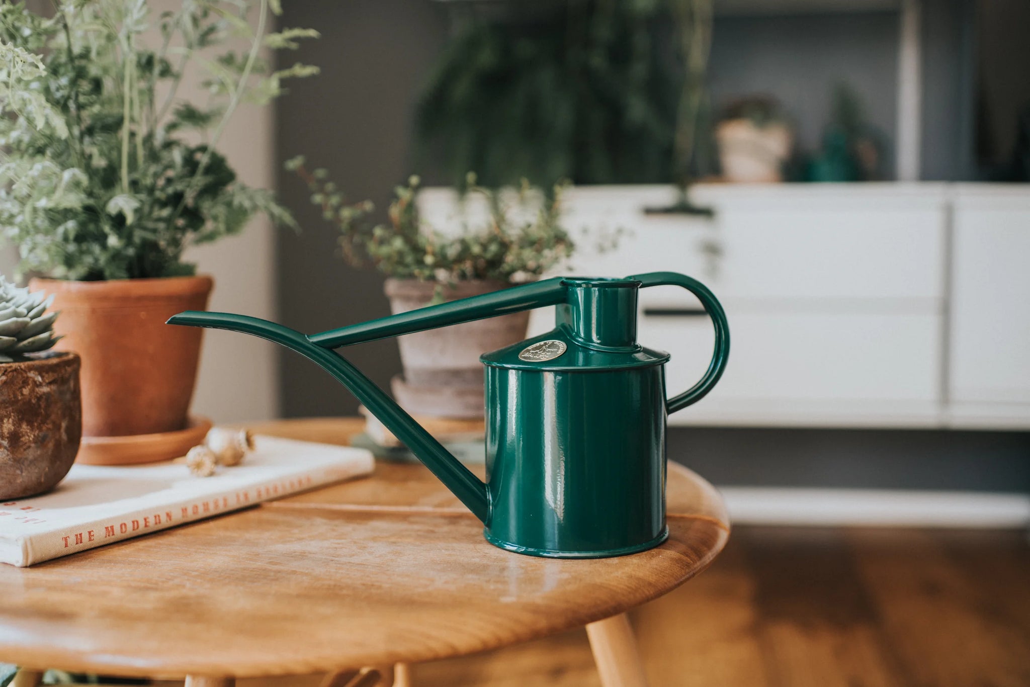 Watering can from Dublin's The Garden Florist