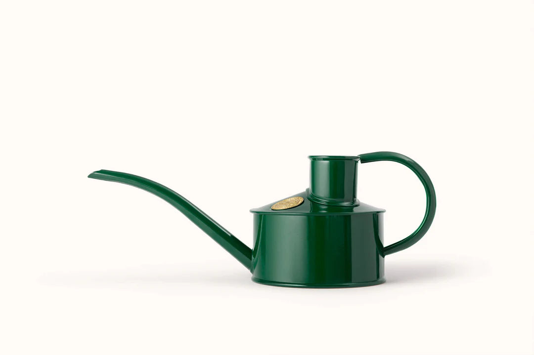 Watering can from Dublin's The Garden Florist