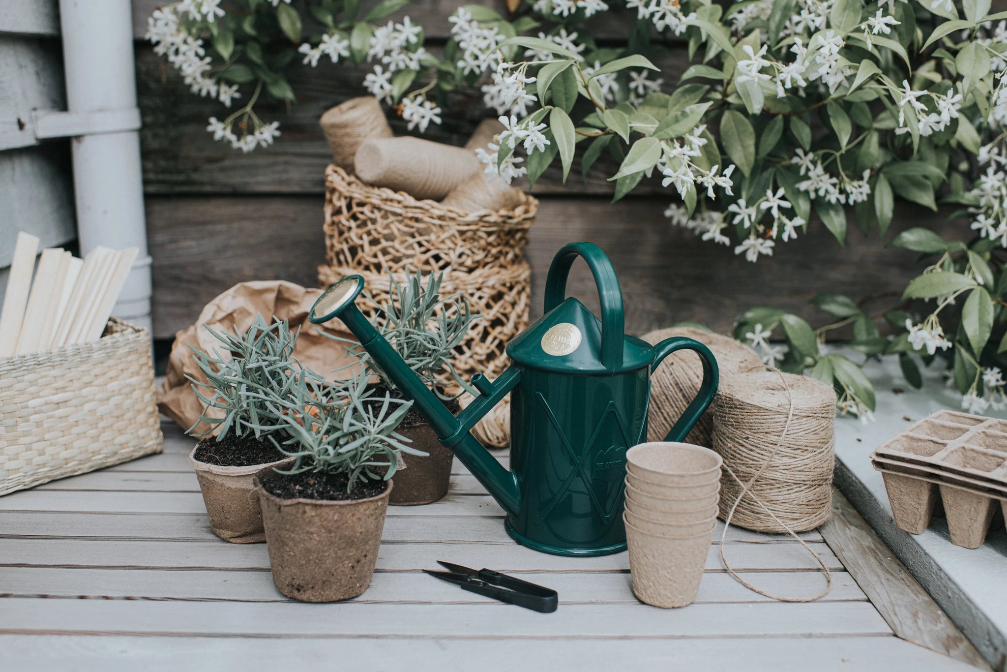 Green watering can from Dublin's The Garden Florist