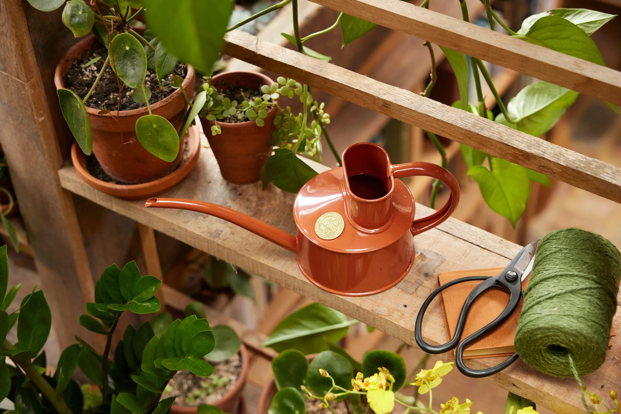 Watering can from Dublin's The Garden Florist