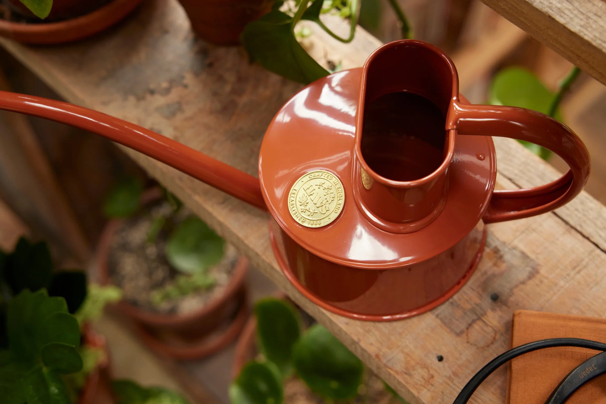 Watering can from Dublin's The Garden Florist