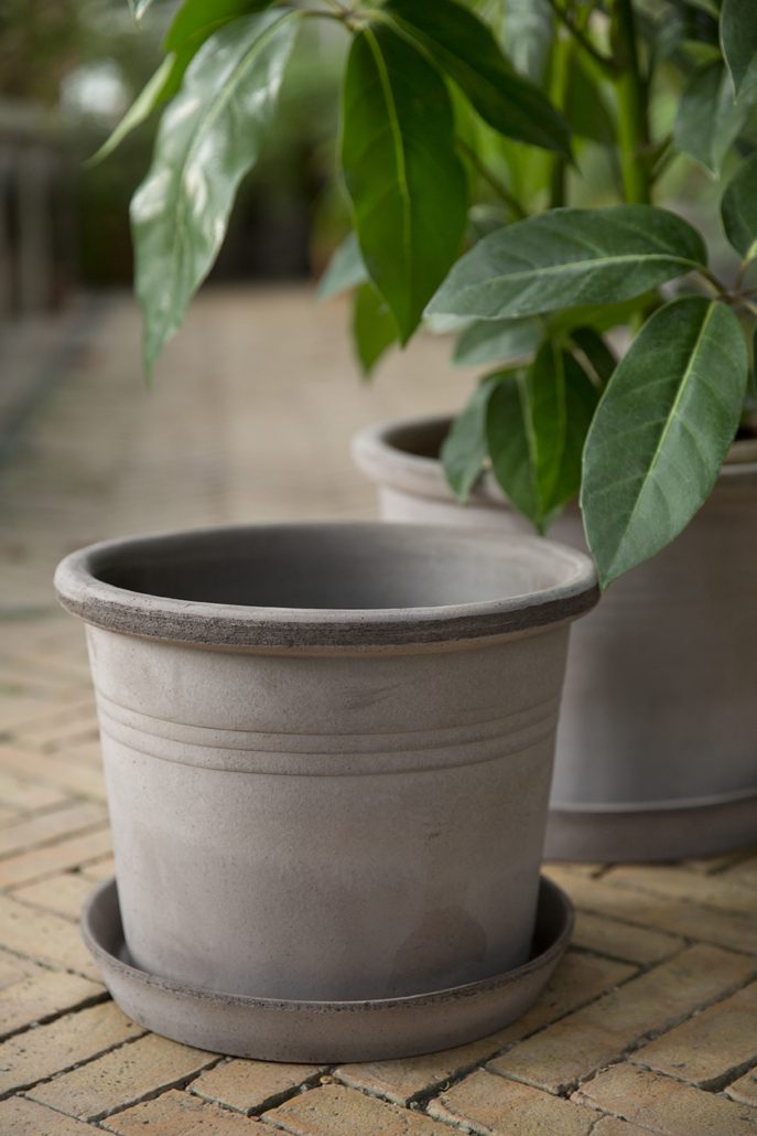 Gray ceramic planter with green leaves on a brick surface houseplants indoor outdoor pots buy online