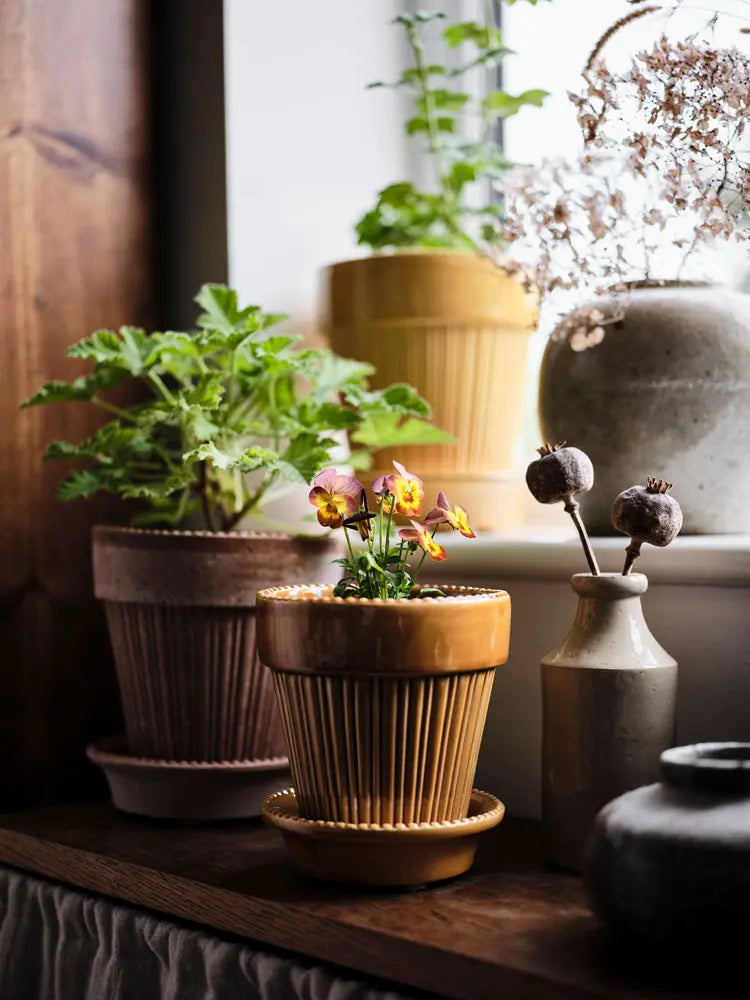 Simona  glazed ceramic plant pot for indoor houseplants