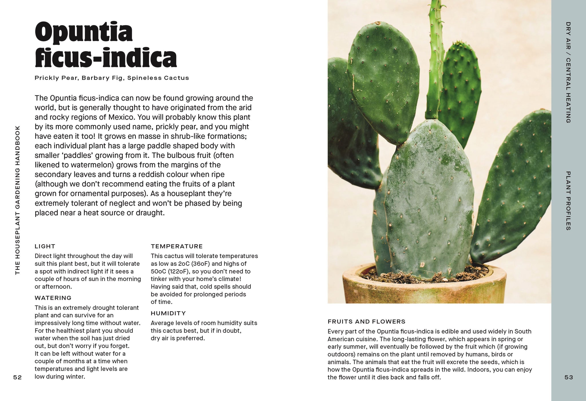 The Houseplant Handbook