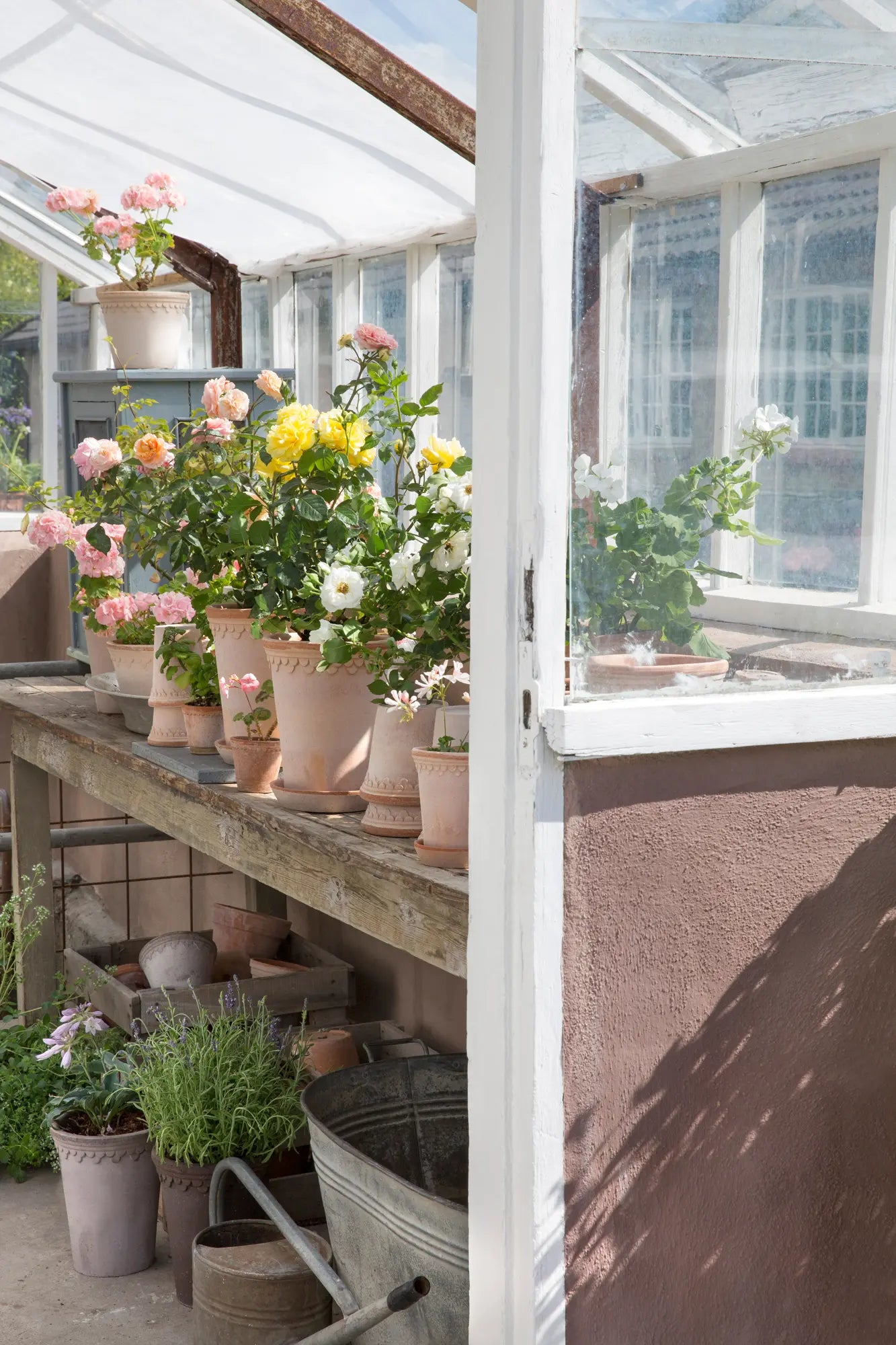 Pots | Indoor Plant Ceramic Terracotta Pots Ireland - Online Delivery