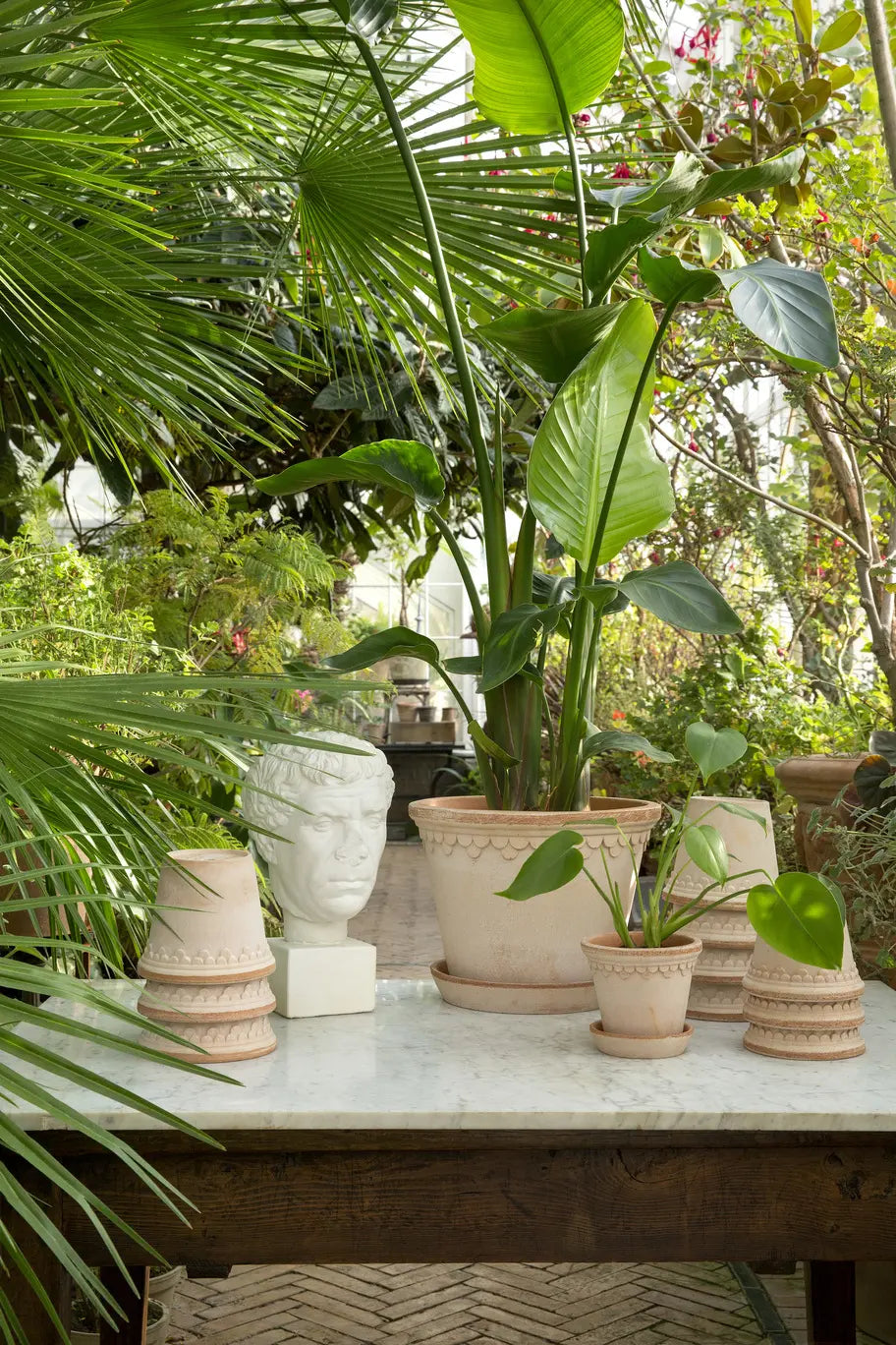 Pots | Indoor Plant Ceramic Terracotta Pots Ireland - Online Delivery
