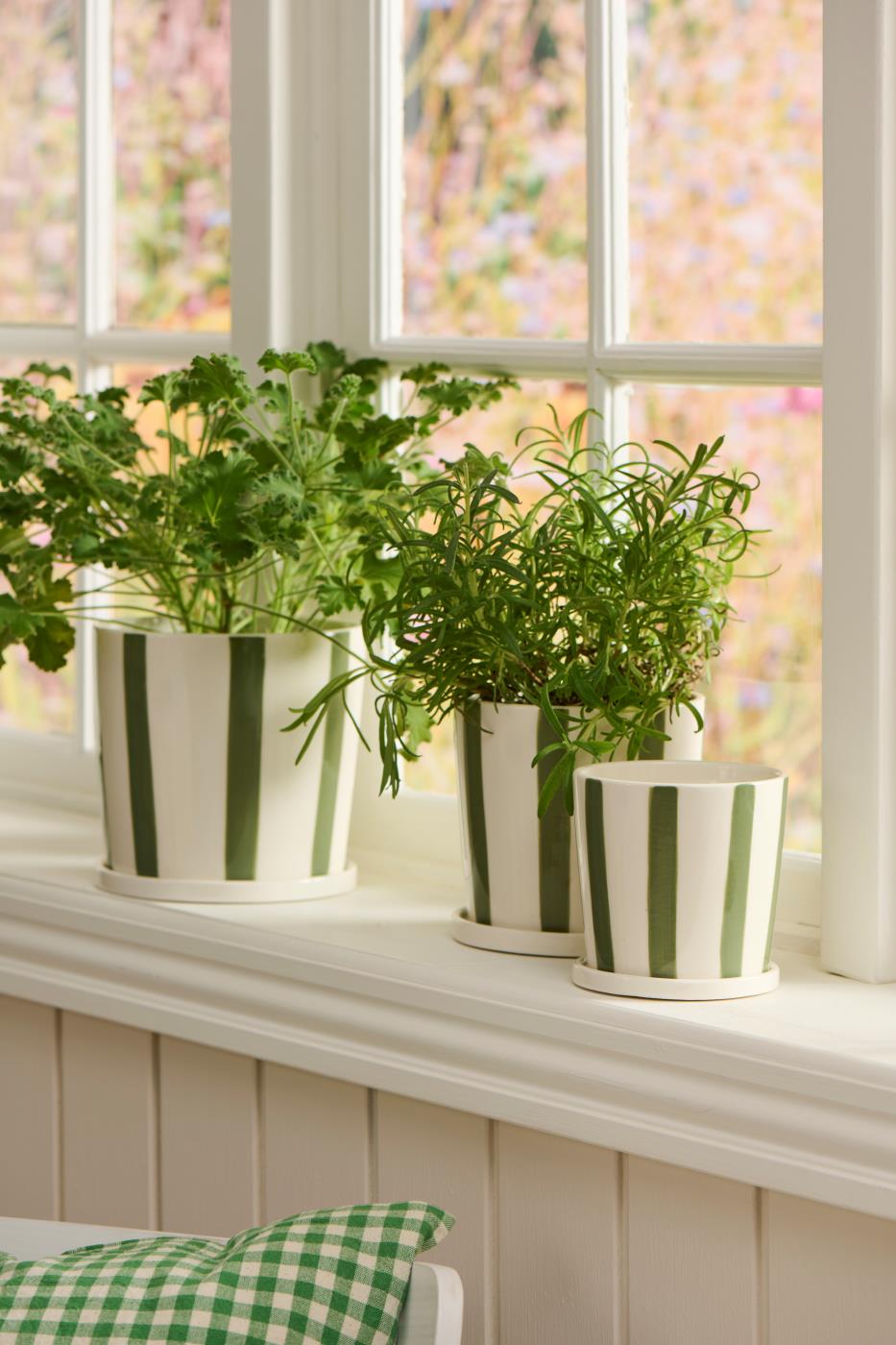 Striped Ceramic Pot