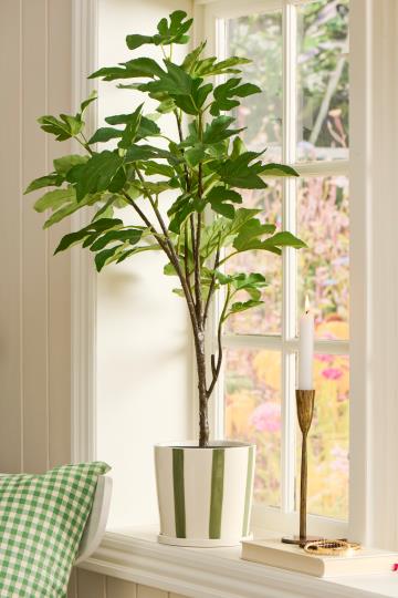 Striped Ceramic Pot