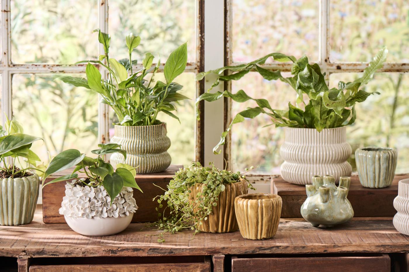 Rustic Distressed Ceramic Pot