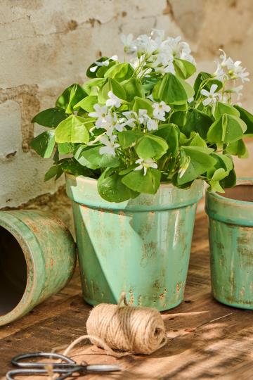 Antique Looking Green Pot