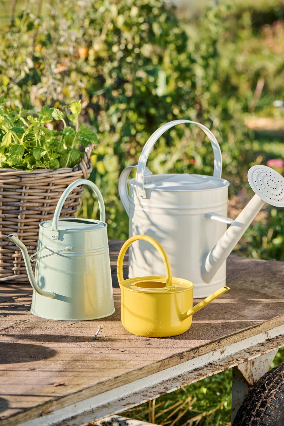 Watering Cans - 0.95 Ltr