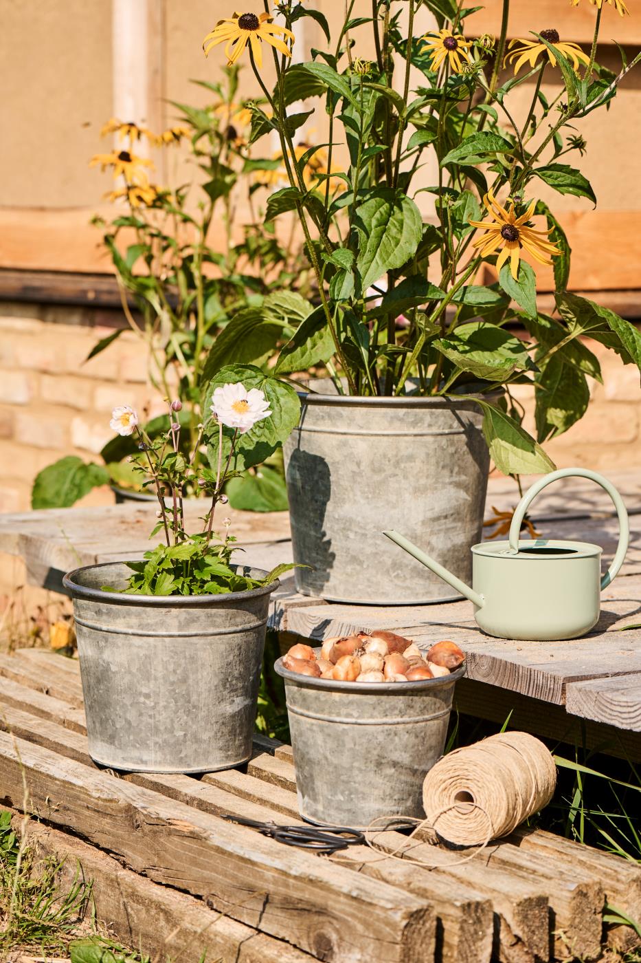 Watering Cans - 0.95 Ltr