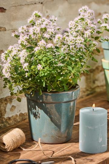 Antique Looking Blue Pot