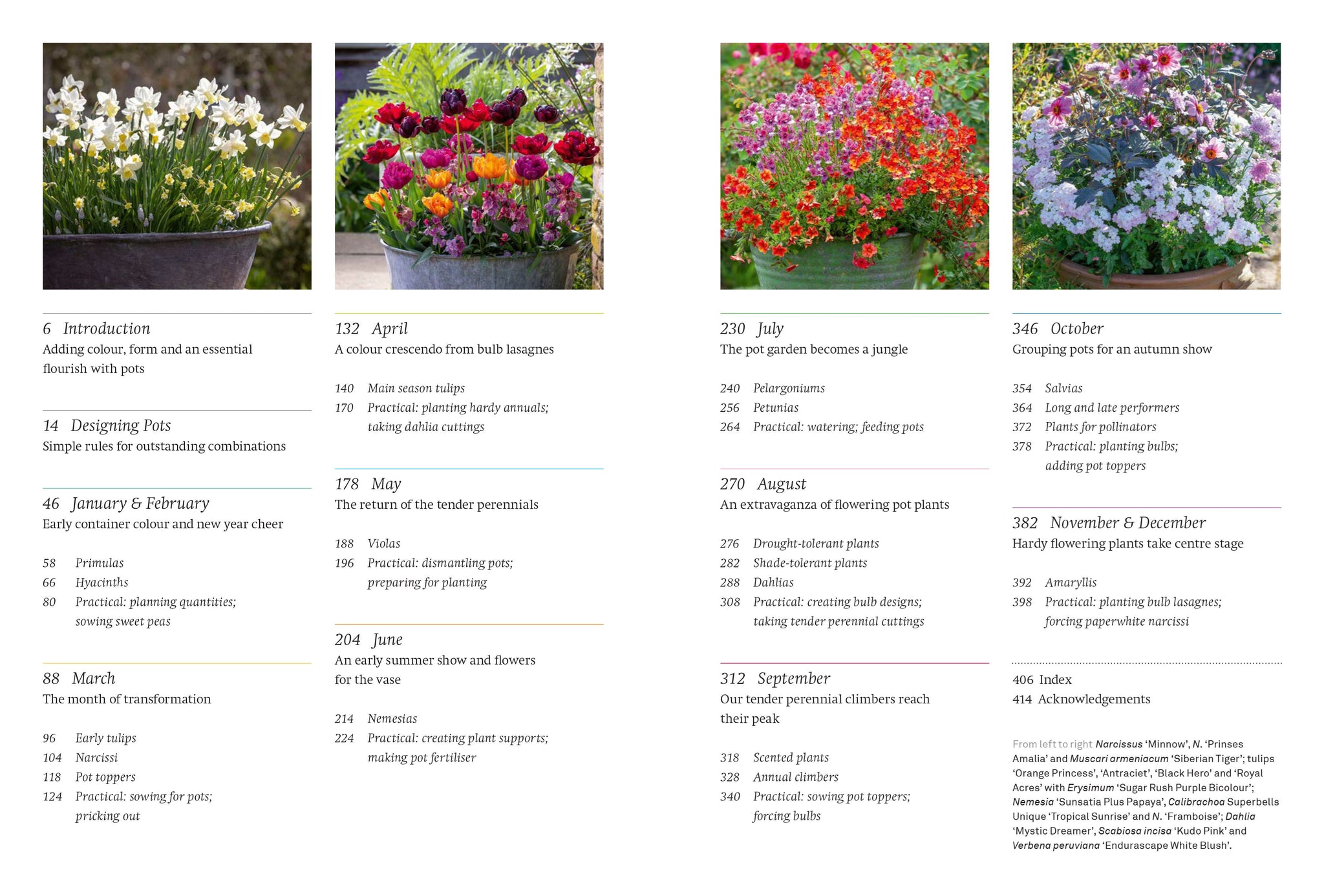 A year Full of Pots: Containers for All Seasons