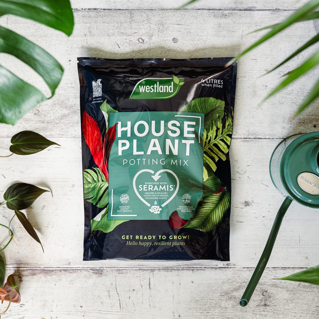 Westland Potting Mix
