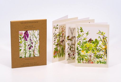 Kilcoe Studios Seasonal Hedgerow Cards