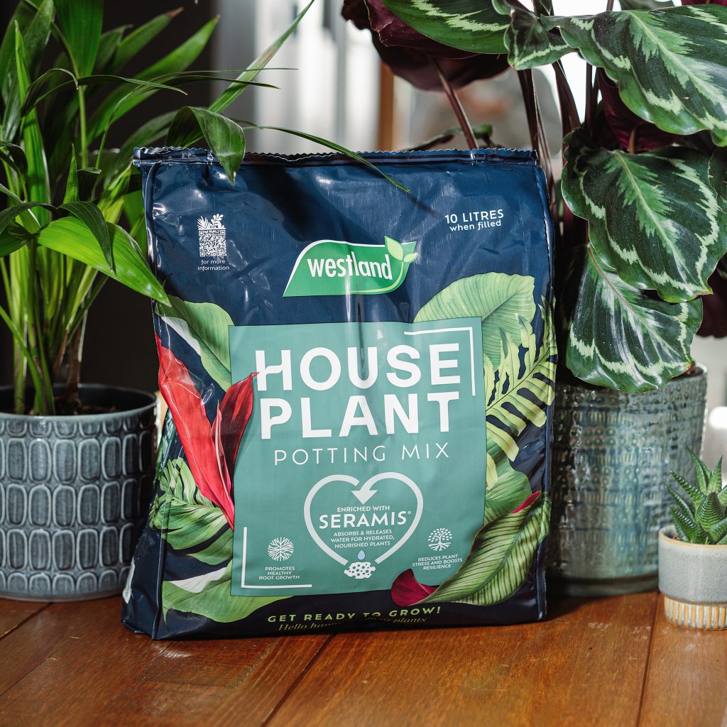 Westland Potting Mix