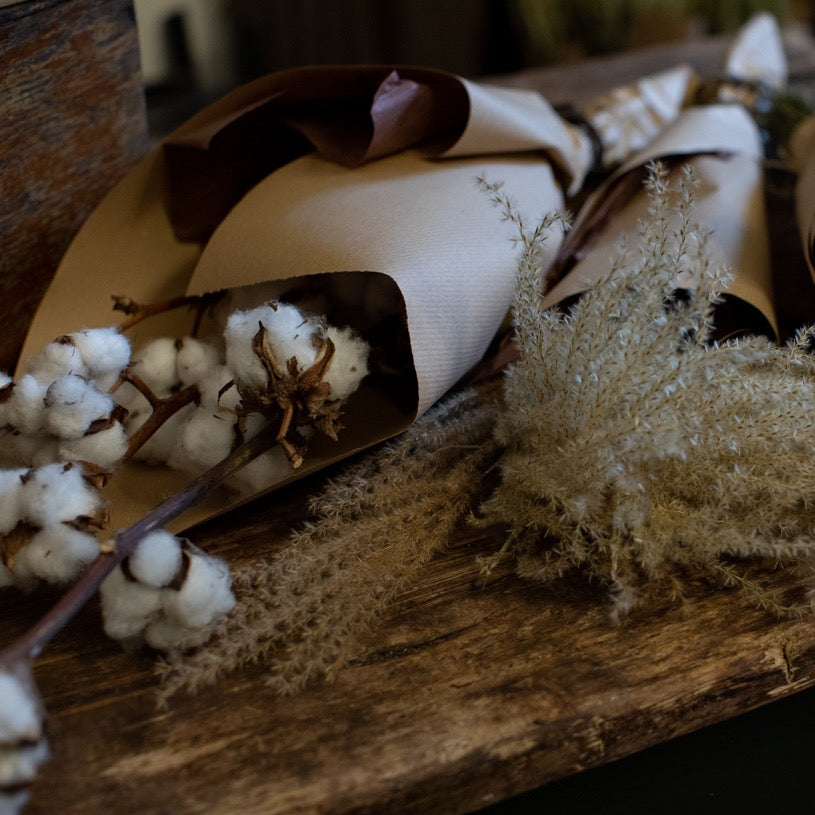 Cotton Branches Dried Flowers Nationwide Delivery Ireland